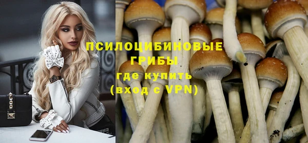 мяу мяу мука Бородино