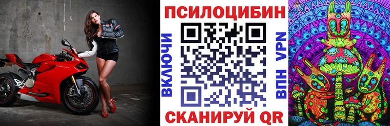Псилоцибиновые грибы прущие грибы  Гусиноозёрск 